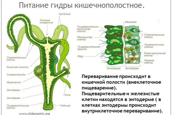 Угнали аккаунт кракен